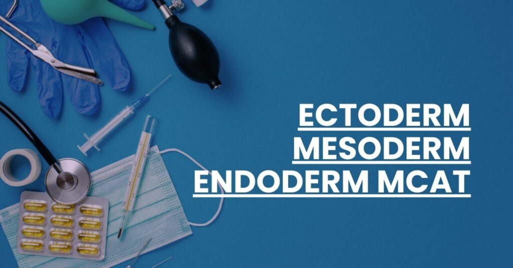 Ectoderm Mesoderm Endoderm MCAT Feature Image