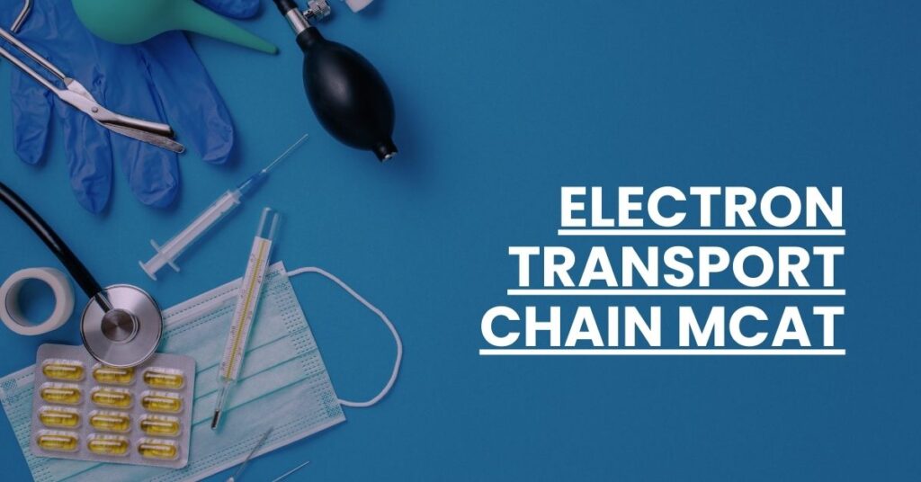 Electron Transport Chain MCAT Feature Image