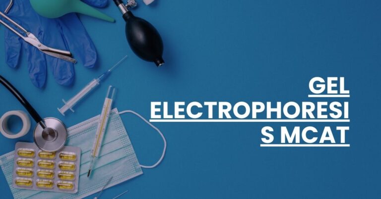 Gel Electrophoresis MCAT Feature Image