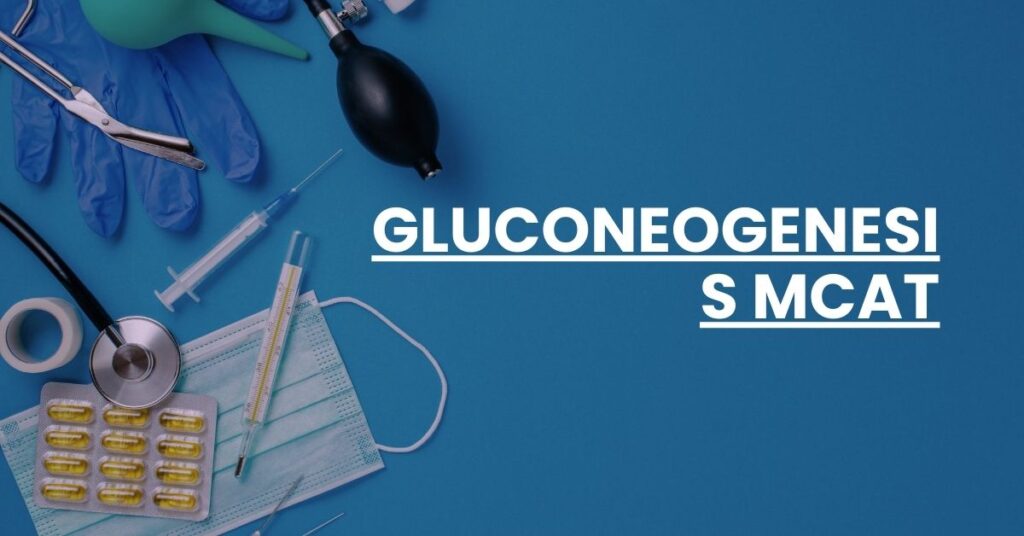 Gluconeogenesis MCAT Feature Image