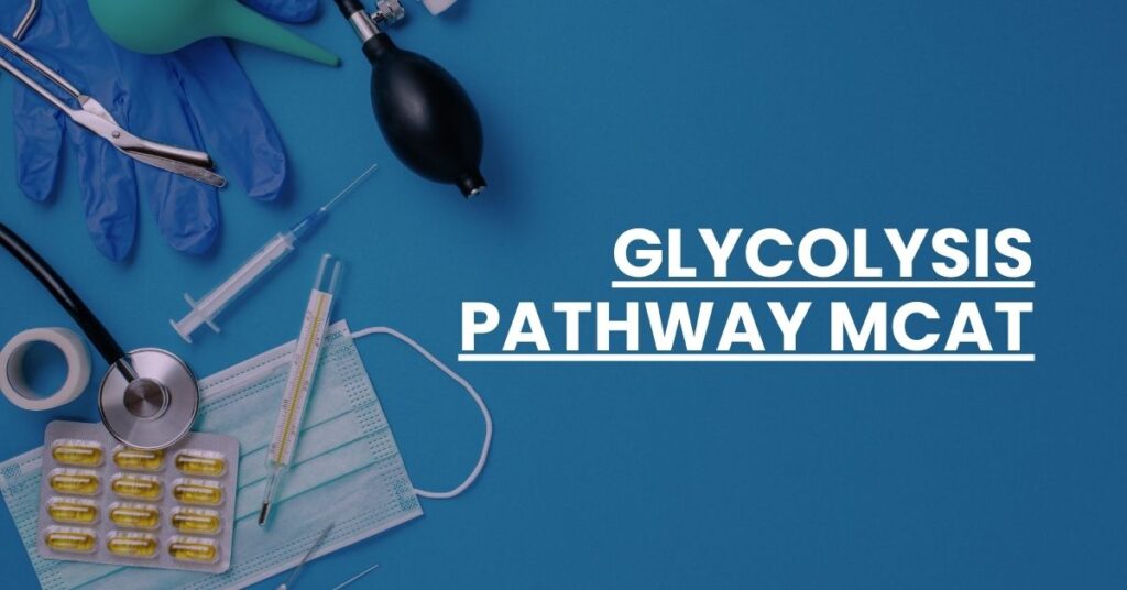 Glycolysis Pathway MCAT Feature Image