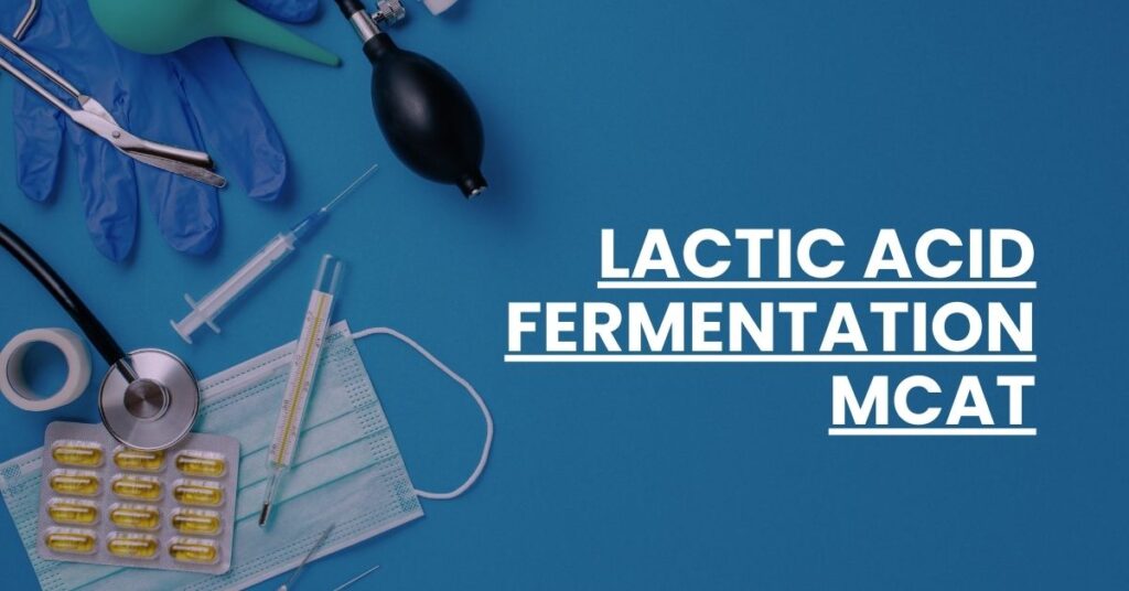 Lactic Acid Fermentation MCAT Feature Image