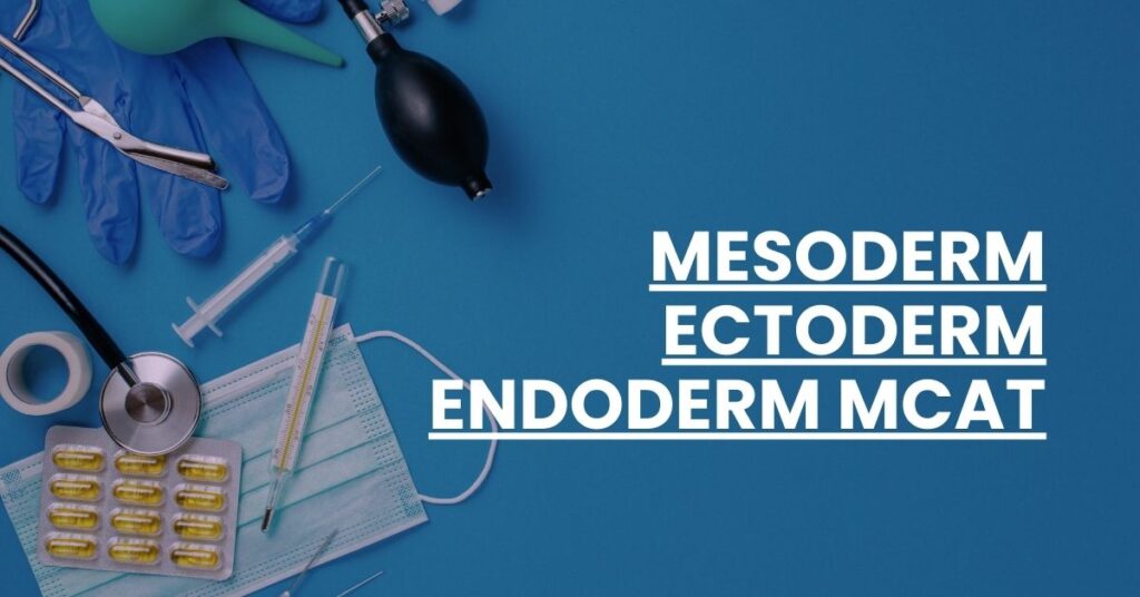 Mesoderm Ectoderm Endoderm MCAT Feature Image