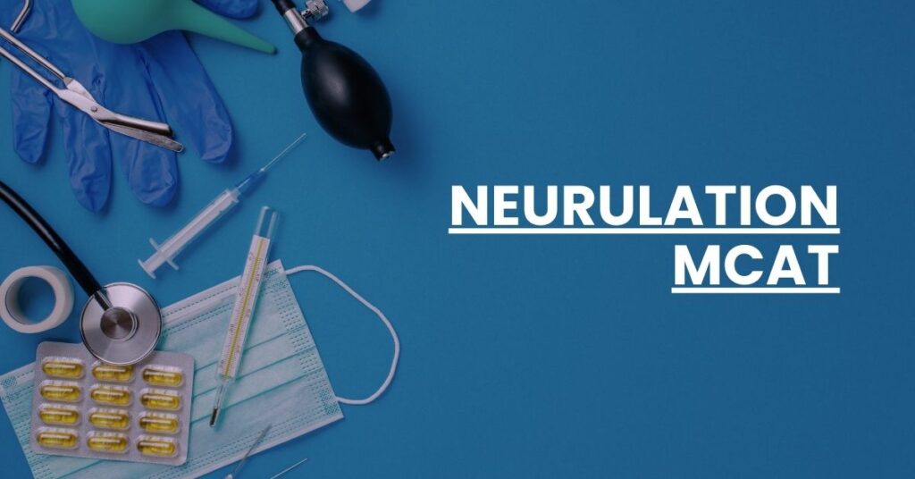 Neurulation MCAT Feature Image