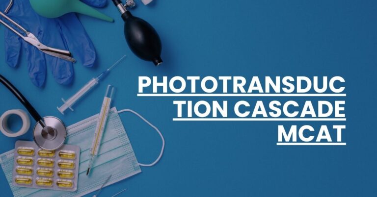 Phototransduction Cascade MCAT Feature Image