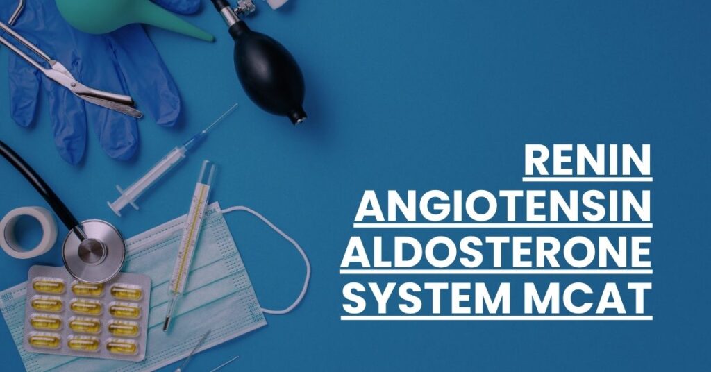 Renin Angiotensin Aldosterone System MCAT Feature Image