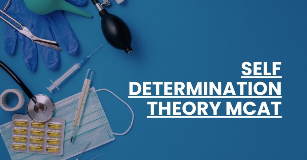 Self Determination Theory MCAT Feature Image