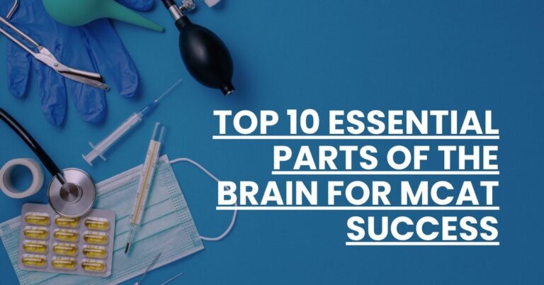 Top 10 Essential Parts of the Brain for MCAT Success Feature Image